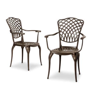 Arden 2-Piece Outdoor Dining Chair Set for Patio