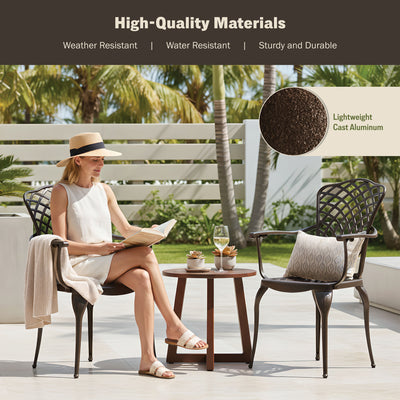 Arden 2-Piece Outdoor Dining Chair Set for Patio