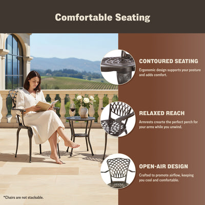 Arden 2-Piece Outdoor Dining Chair Set for Patio