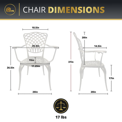 Arden 2-Piece Outdoor Dining Chair Set for Patio
