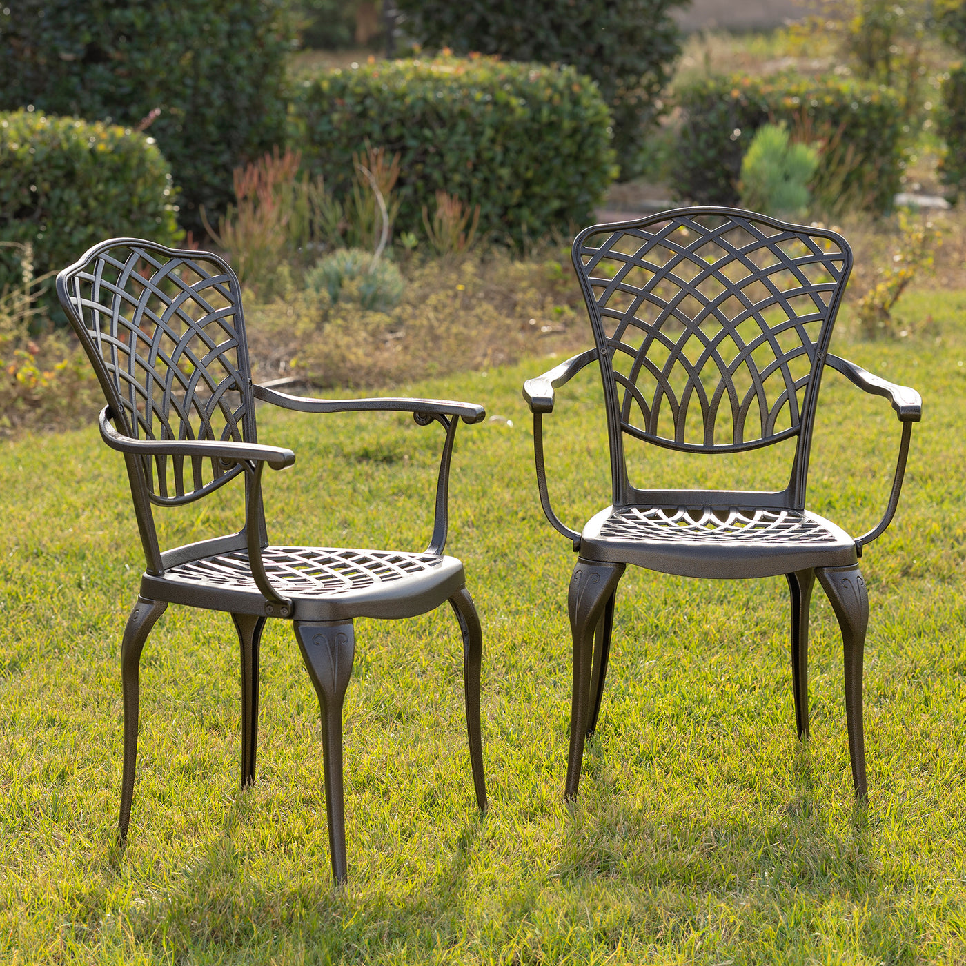 Arden 2-Piece Outdoor Dining Chair Set for Patio