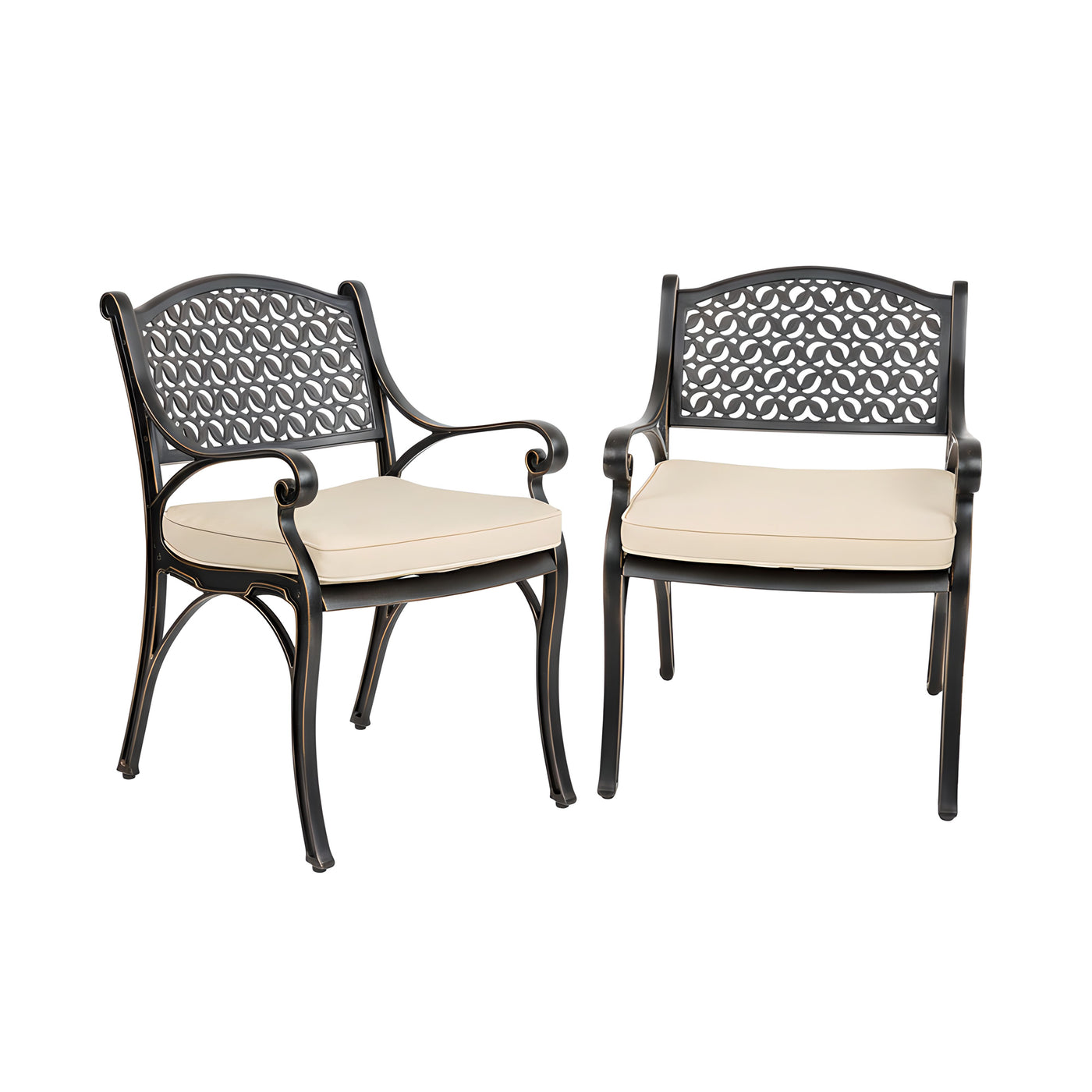 Harmon 2-Piece Outdoor Dining Chair Set for Patio