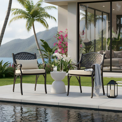 Harmon 2-Piece Outdoor Dining Chair Set for Patio