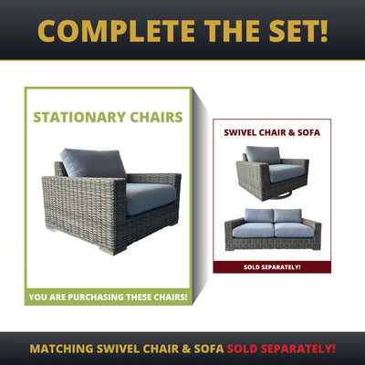 Larry Rattan Wicker Deep Seating Stationary Chairs - Set of 2