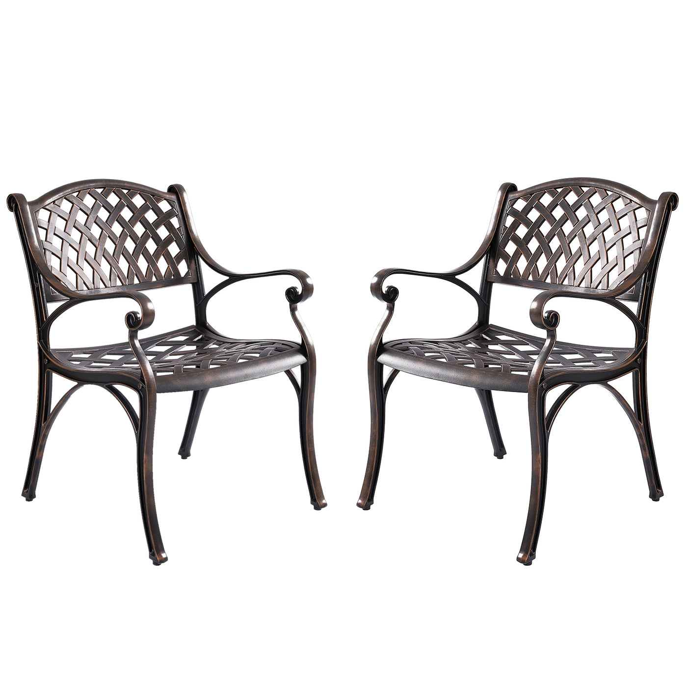 Aiden 2-Piece Outdoor Dining Chair Set for Patio