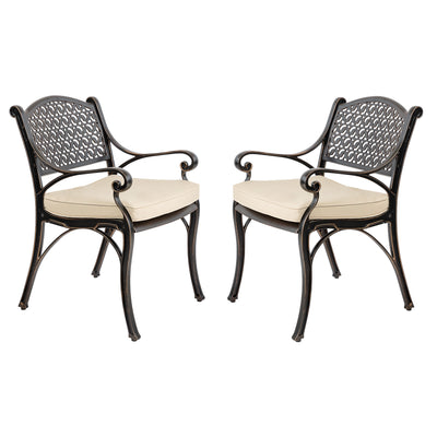 Harmon 2-Piece Outdoor Dining Chair Set for Patio